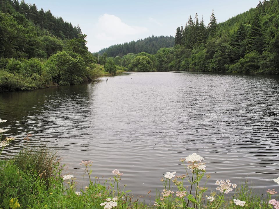Dalby forest | Bickley School - Bickley School House, Bickley, nr. Langdale End