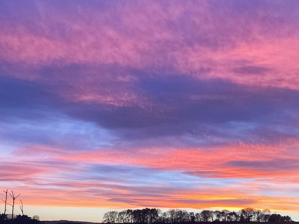 Surrounding area | Lapwing Cottage, Gateshead