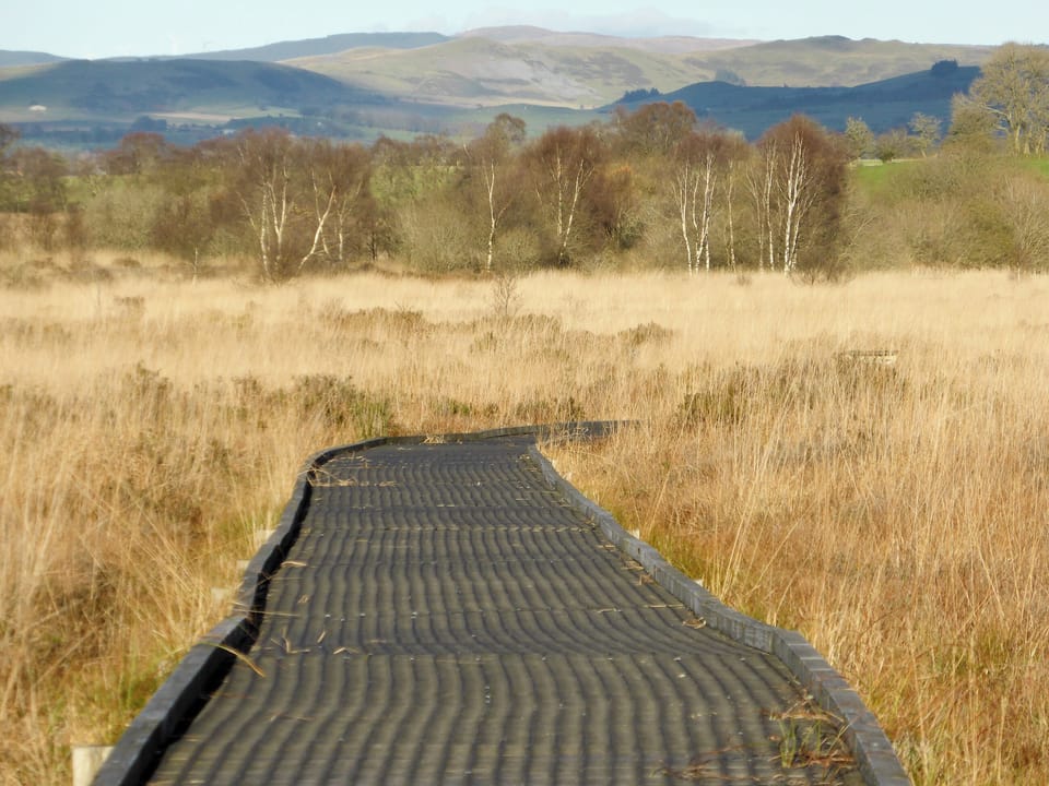Cons Caron nature reserve | Glan Gors, Tregaron