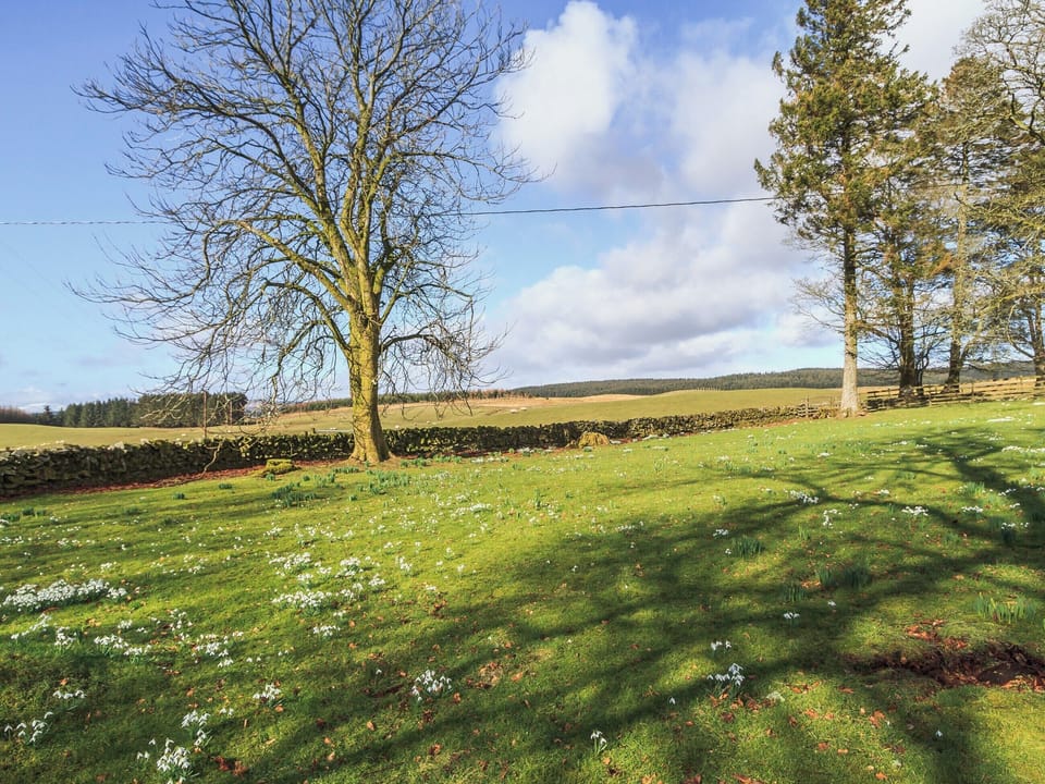 Garden | Lochenkit Farmhouse, Corsock, Castle Douglas
