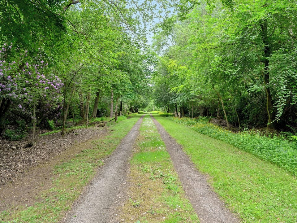 Garden and grounds | Gilmilnscroft Estate - The Old Stables, Gilmilnscroft Estate - Gilmilnscroft Gatehouse - Gilminscroft Estate, Sorn, near Ayr