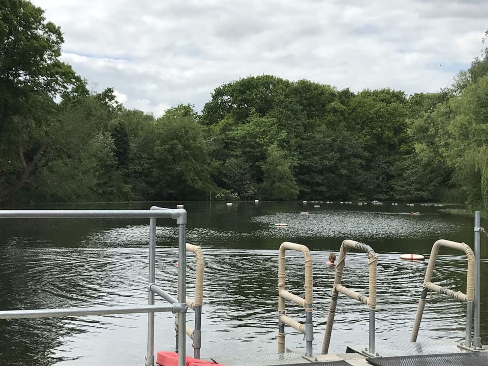 Take a free dip in the ladies pond on Hampstead Heath