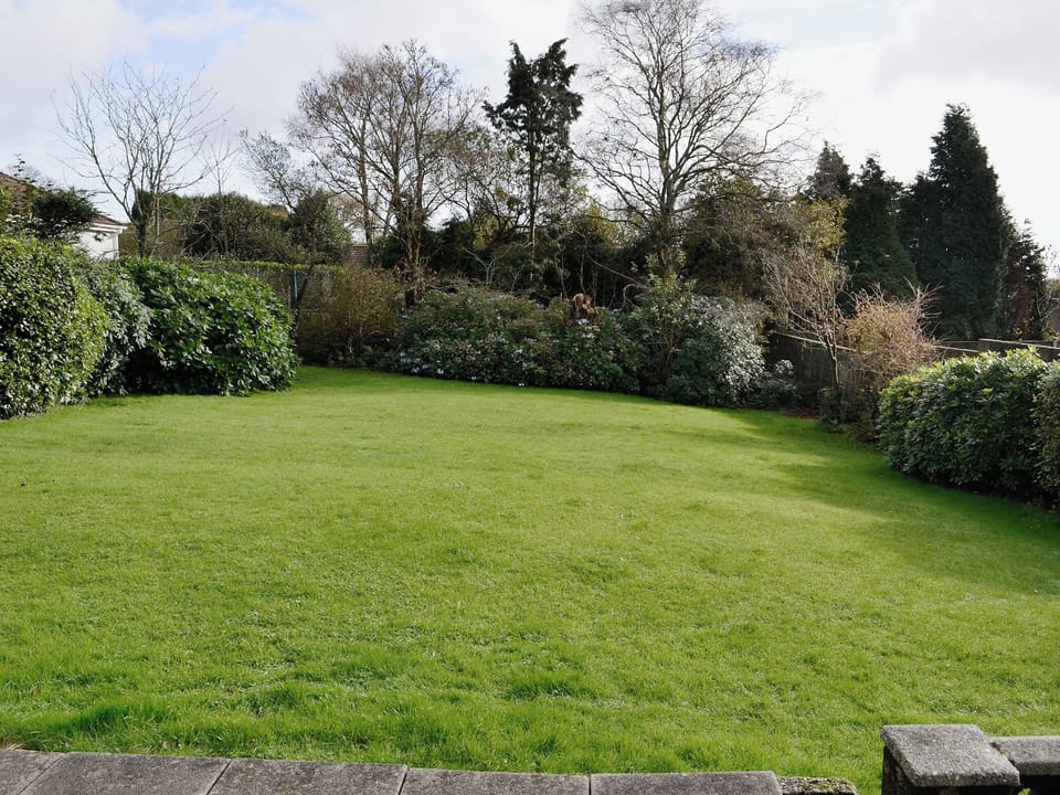 Garden | Goonlaze, Lanjeth, nr. St Austell