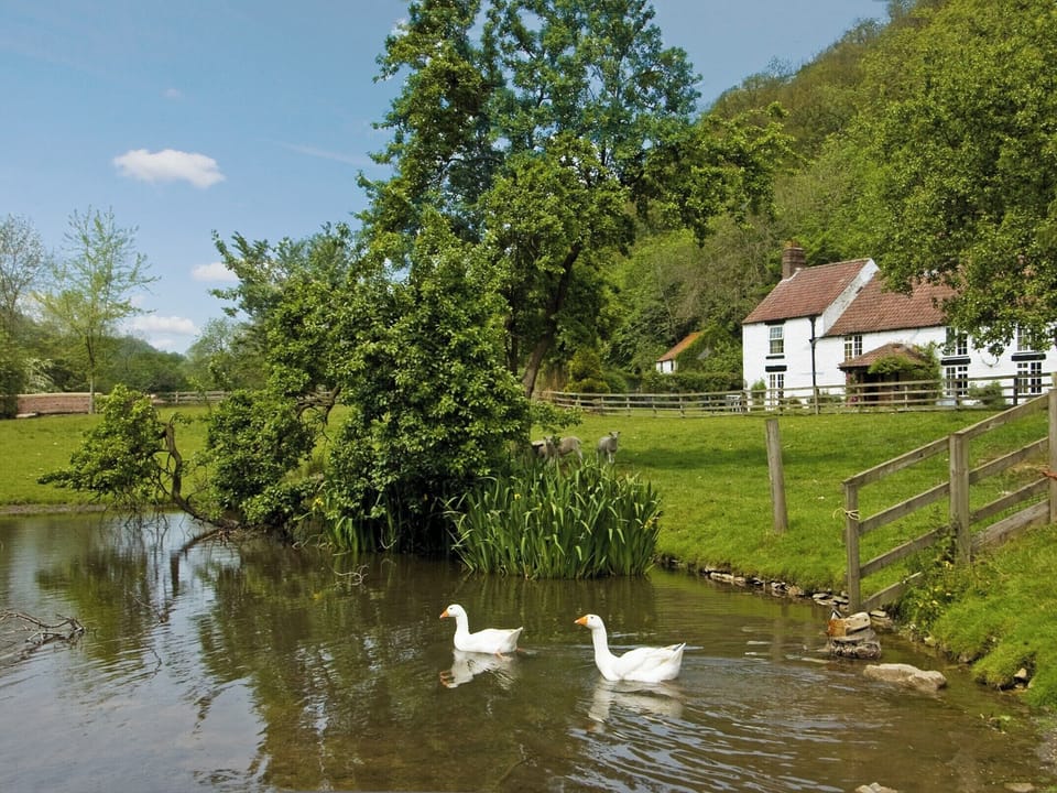 Exterior | Ashberry Cottage, Rievaulx, nr. Helmsley
