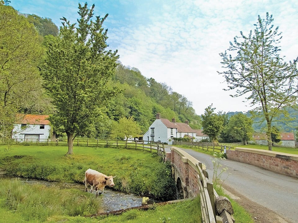 The setting of Ashberry Cottage | Ashberry Cottage, Rievaulx, nr. Helmsley