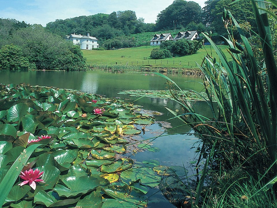 The Manor House (with Heron and Natalie Jane apartments), Lakeview to the right | Lakeview, Nr. Liskeard