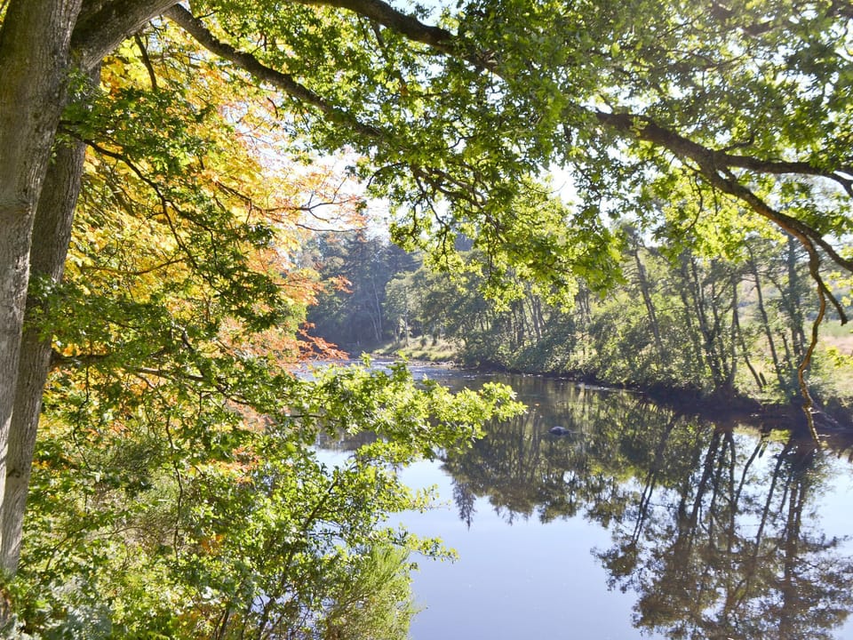 Surrounding area | Fiona&rsquo;s Cottage, Crieff