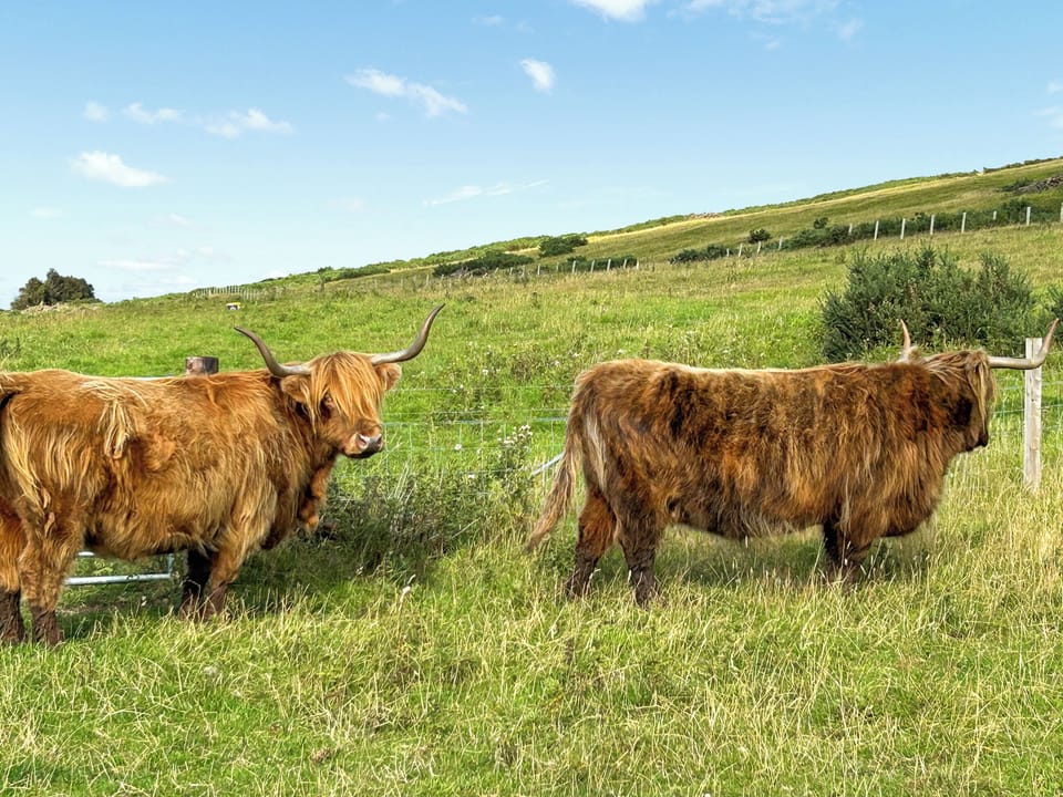 Surrounding area | Rosscot, Bayfield, Nigg