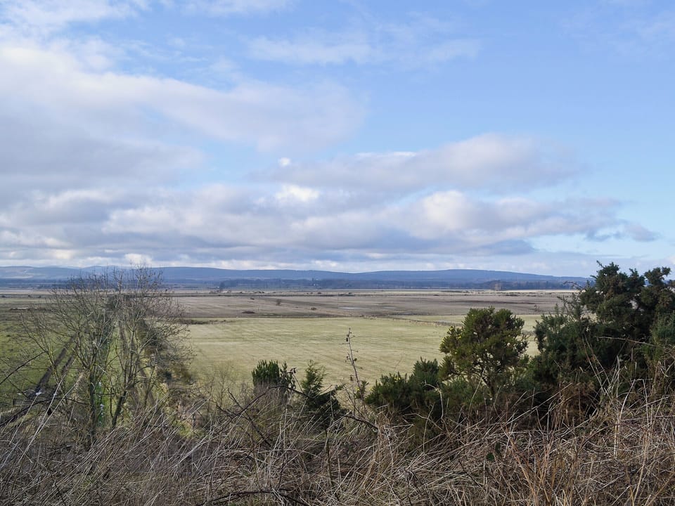 View | Rosscot, Bayfield, Nigg