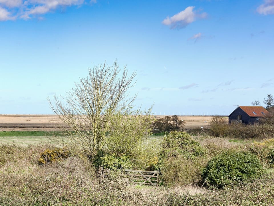 Brilliant far reaching views | Seagulls, Blakeney