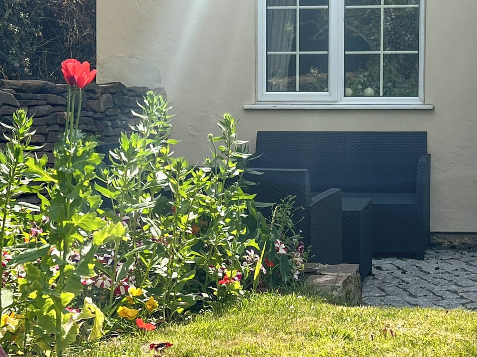 Outdoor area | Commonwealth Cottage, Iron Acton, near Bristol