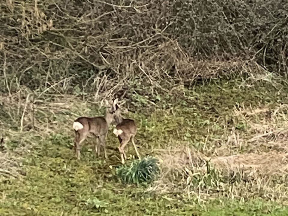 Surrounding area | Nantucket House, Misterton, near Crewkerne