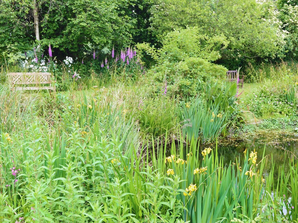 Lush well-maintained shared garden areas | Bergerac Cottage - Coppers Cottages, Lyme Regis