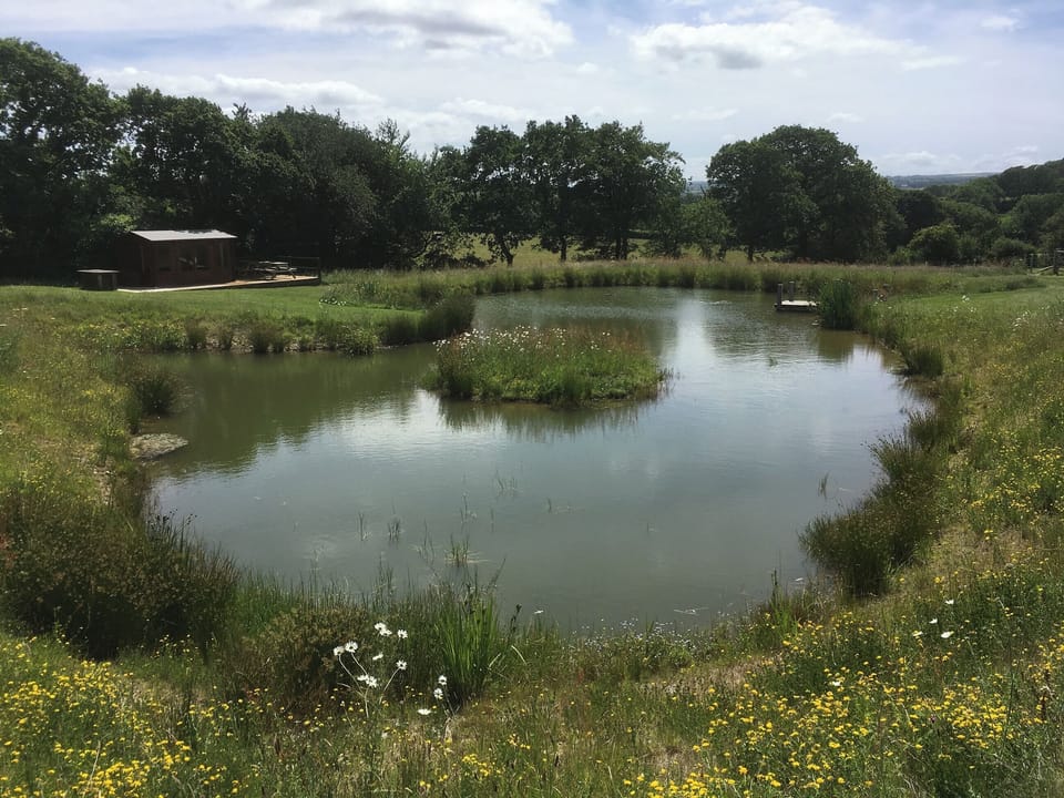 Tranquil wildlife area with lake | Lower Shipen, The Stable - Brazzacott Cottages, North Petherwin, near Launceston