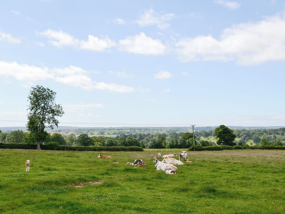 Wonderful views over arable farmland and open countryside | Buttercup Cottage, Bramble Cottage - Slate Rigg Farm Cottages, Ripley near Harrogate
