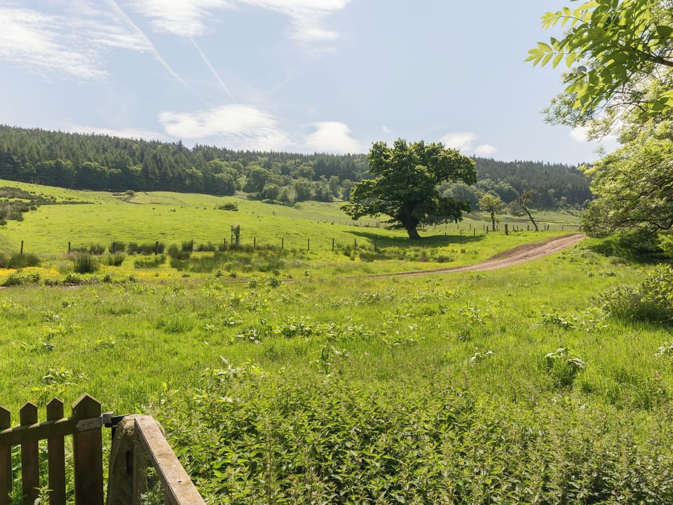 Surrounding area | Westerdale Barn, Kildale, nr. Stokesley