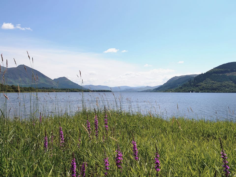 Bassenthwaite | Cumbria, England