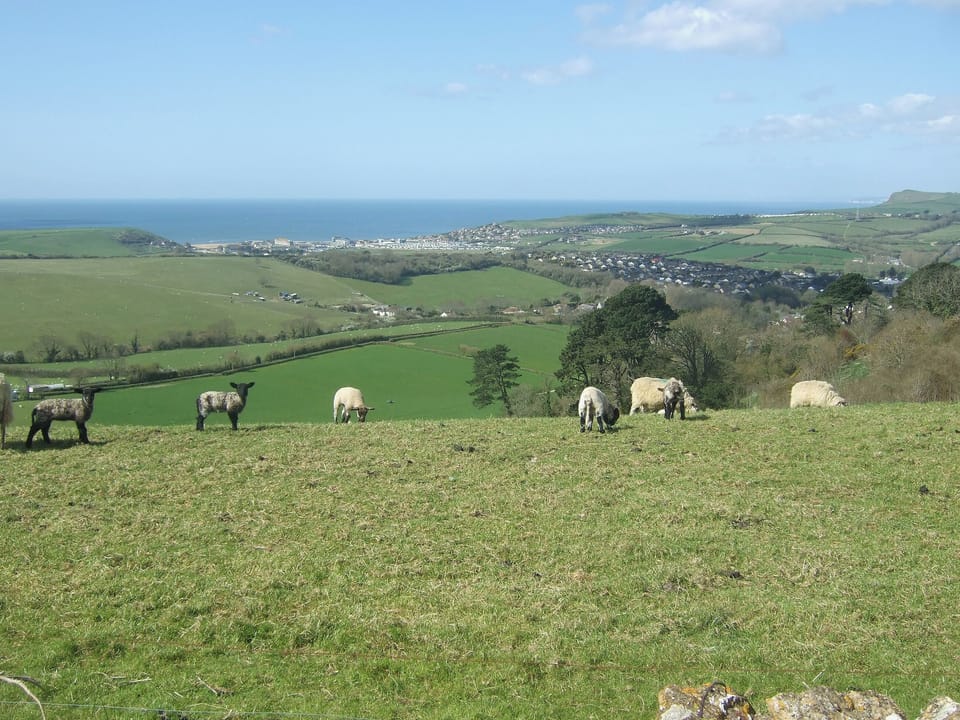 View from hill behind property | Briarwood, Bothenhampton, nr. Bridport