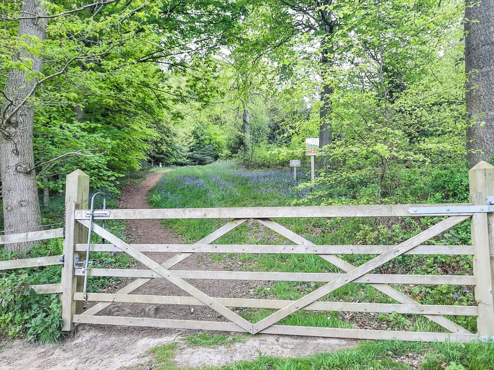 Surrounding area | Moorhouse Farm Cottage, Hovingham, near York