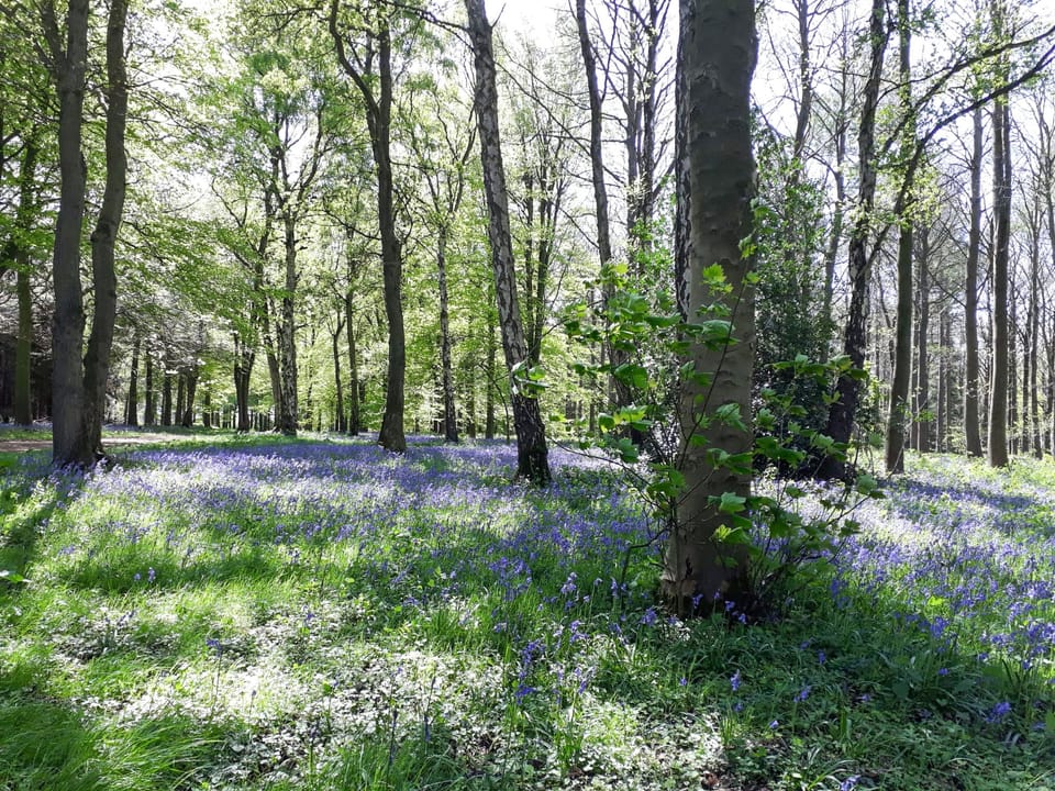 Surrounding area | Moorhouse Farm Cottage, Hovingham, near York