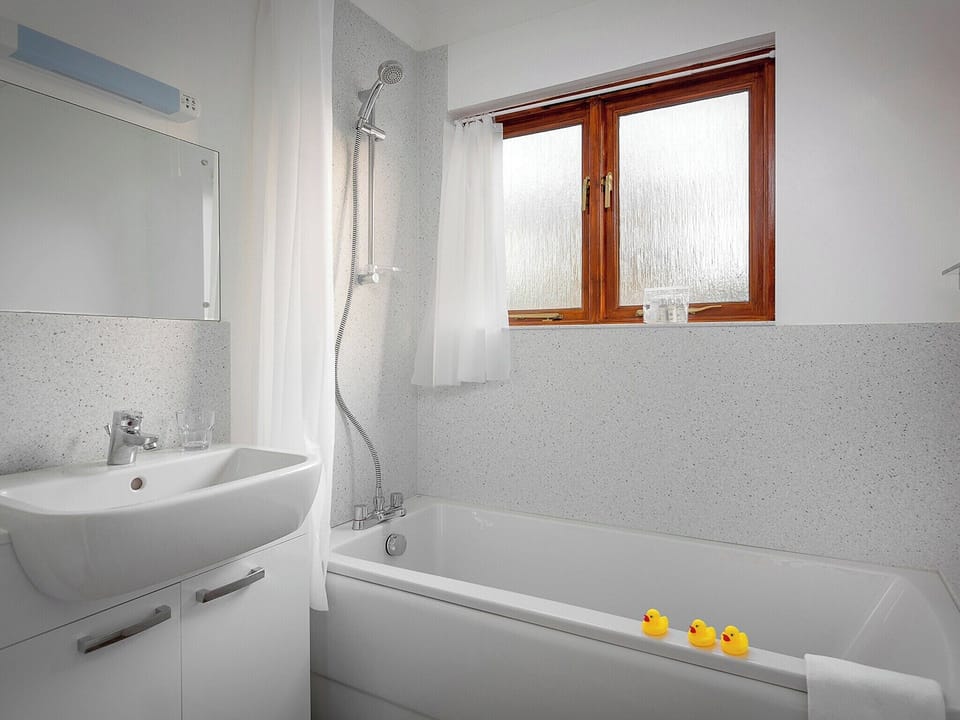 Family bathroom with shower over bath | Grebe - Daisy Broad Lodges, Wroxham