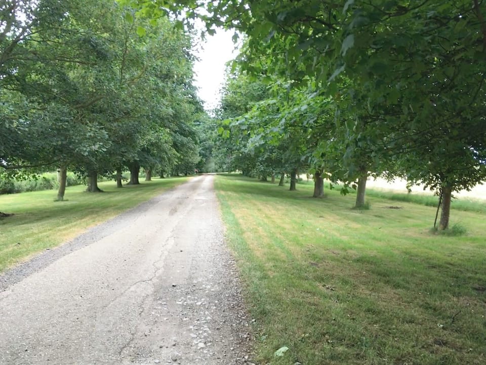Tree lined driveway | Pheasant - Caves Farm Barns, Near Ely