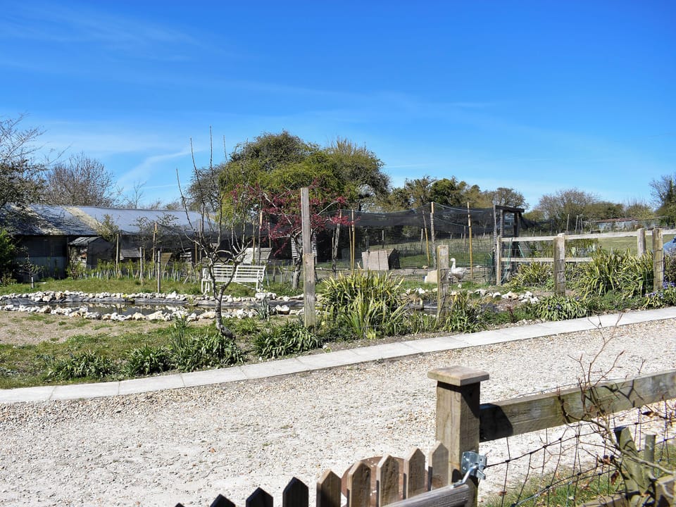 Garden and grounds | The Plough Shed - Compton Farm Cottages, Compton, near Chichester