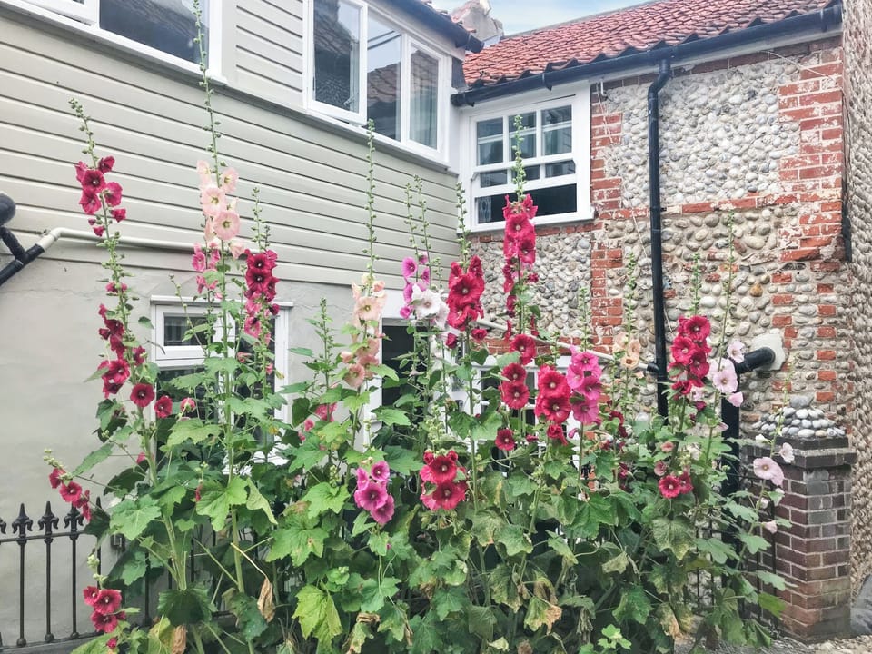 Exterior | Poppies, Blakeney