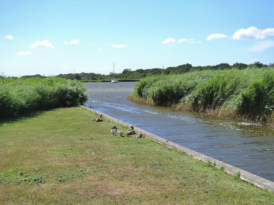 Private waterway opening onto Hickling Broad | The Studio, Hickling