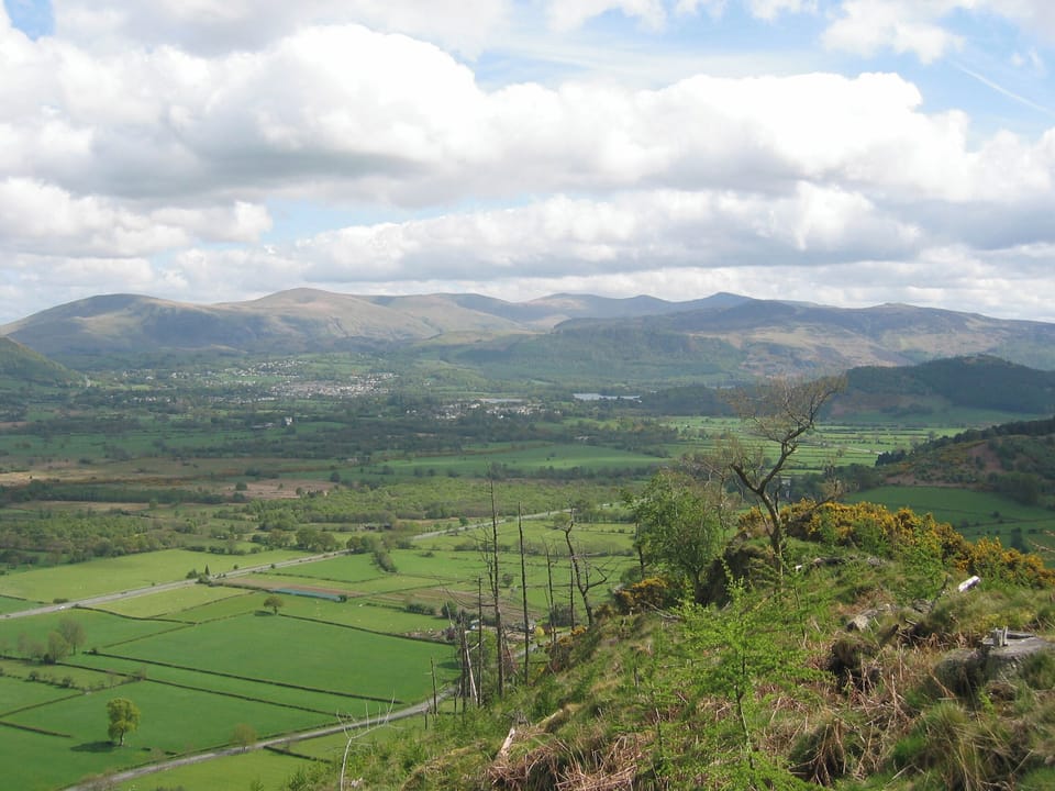 The Larches, Seldom Seen near Thornthwaite