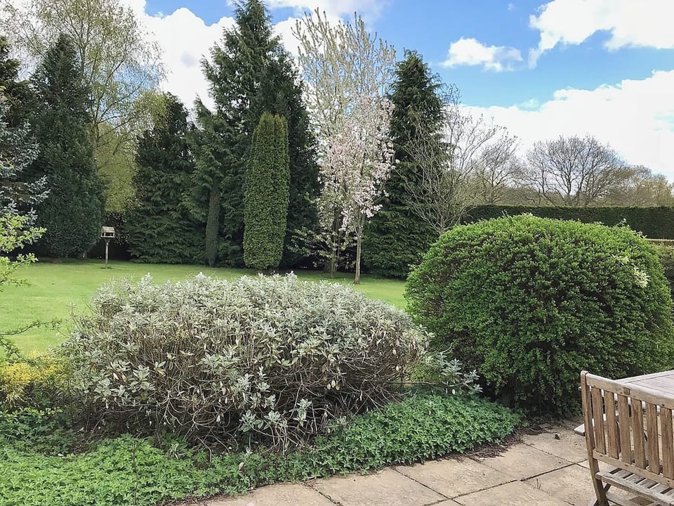 Weel-kempt ghared garden and grounds | The Paddocks, Barney, near Fakenham