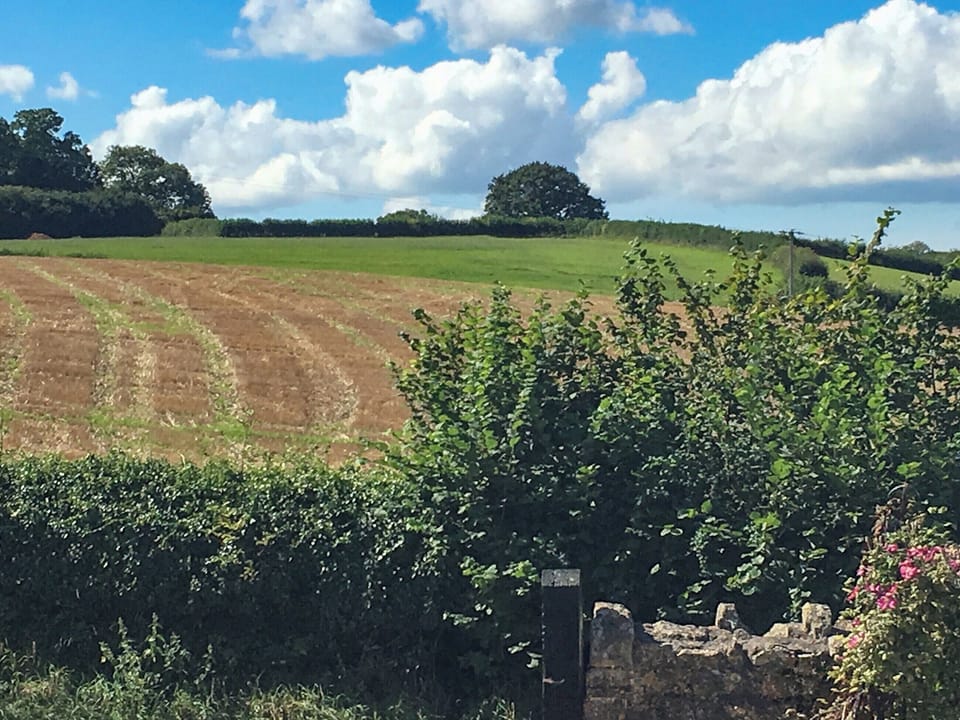 View | The Stable, Carlingcott