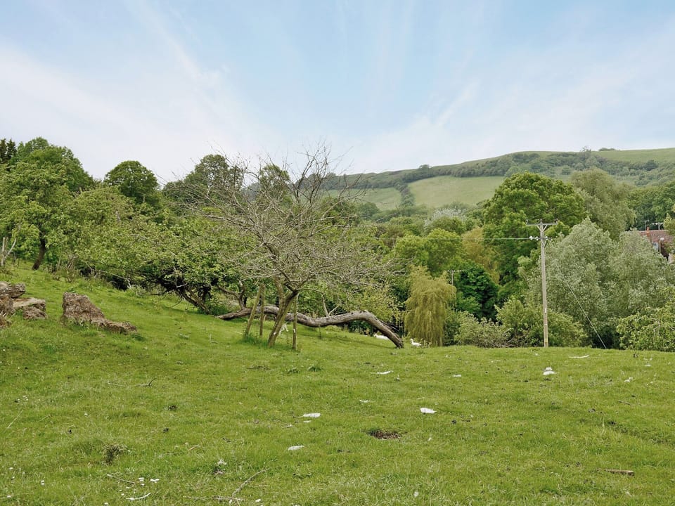 View | Blackberie Cottage, Nr. Beaminster