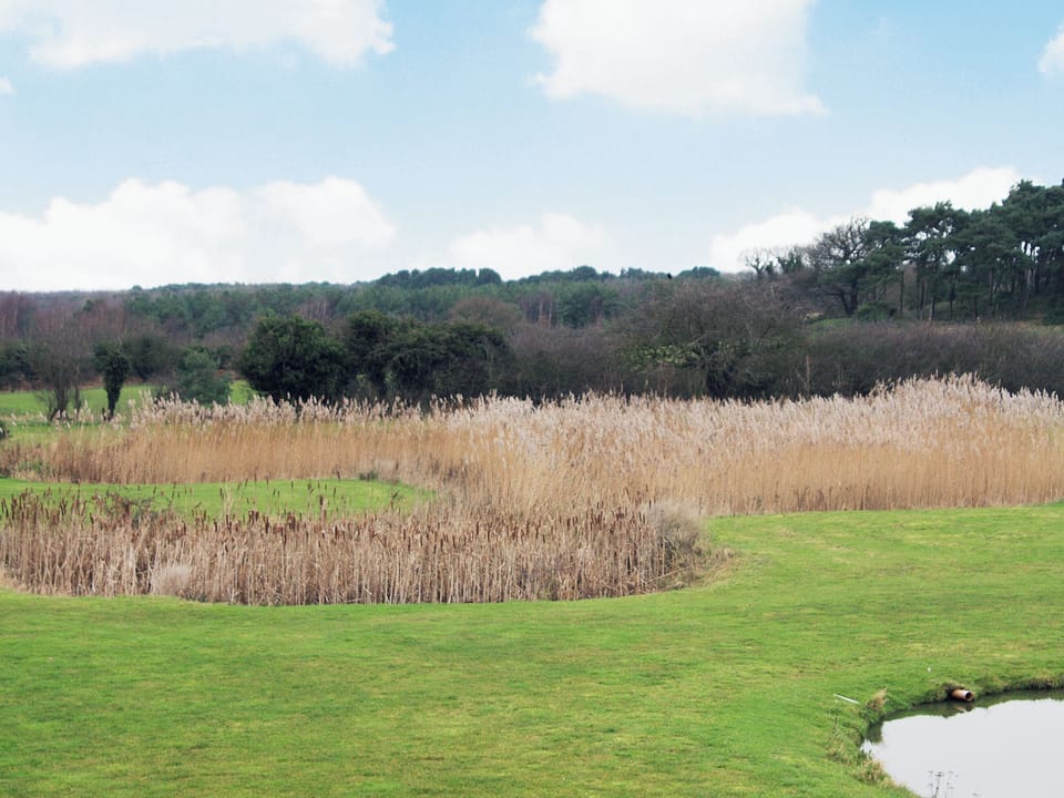 View | The Shank, Fritton, nr. Great Yarmouth