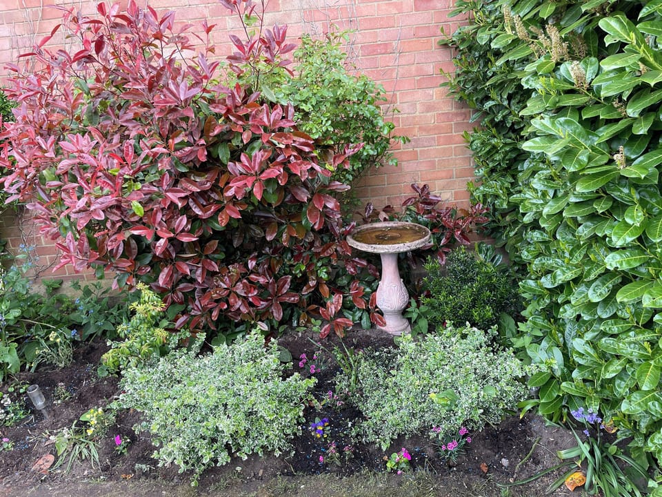 Garden | Walnut Cottage, Sproughton