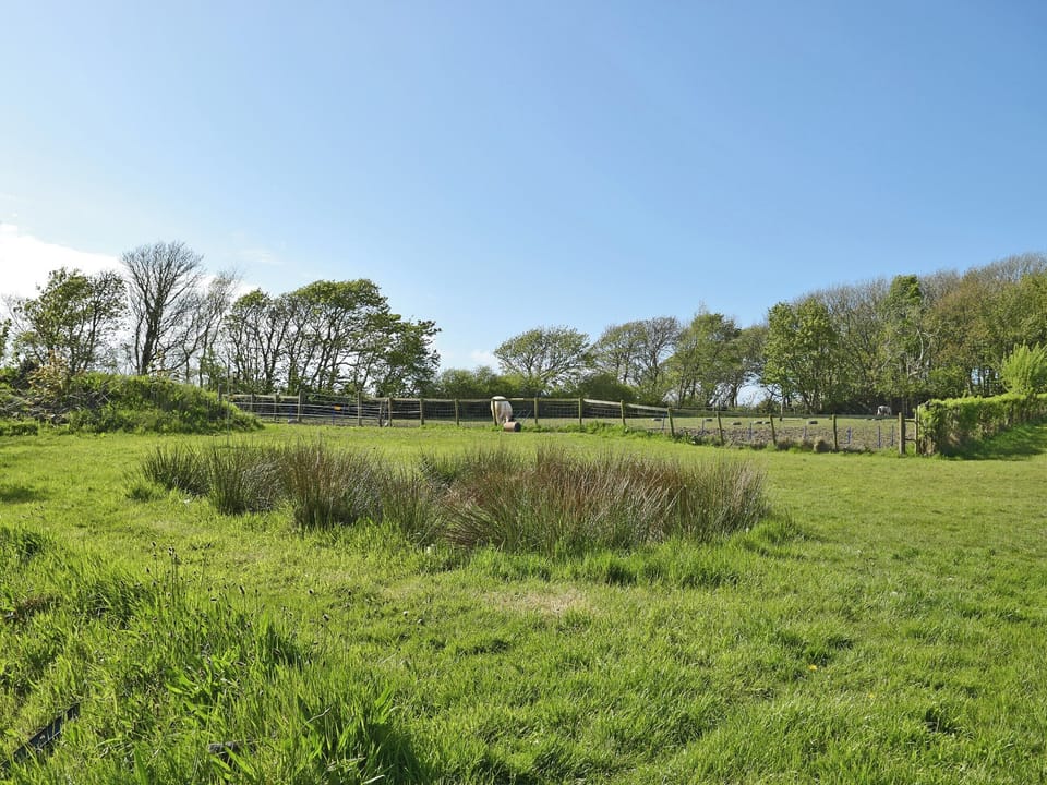 Extensive mature grounds | Popehill Farm Apartment, Popehill, near Johnston