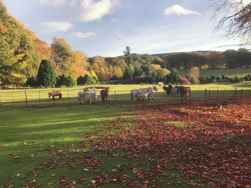 Surrounding area | The Mews, Insch near Inverurie