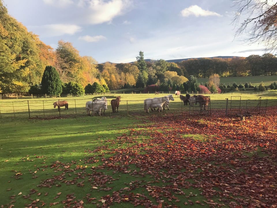 Surrounding area | The Mews, Insch near Inverurie