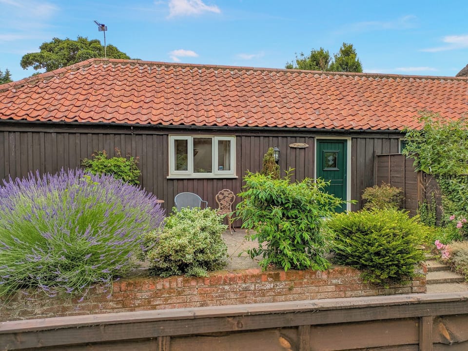 Pinewood enclosed garden | Pinewood - Thorpewood Cottages, Thorpe Market