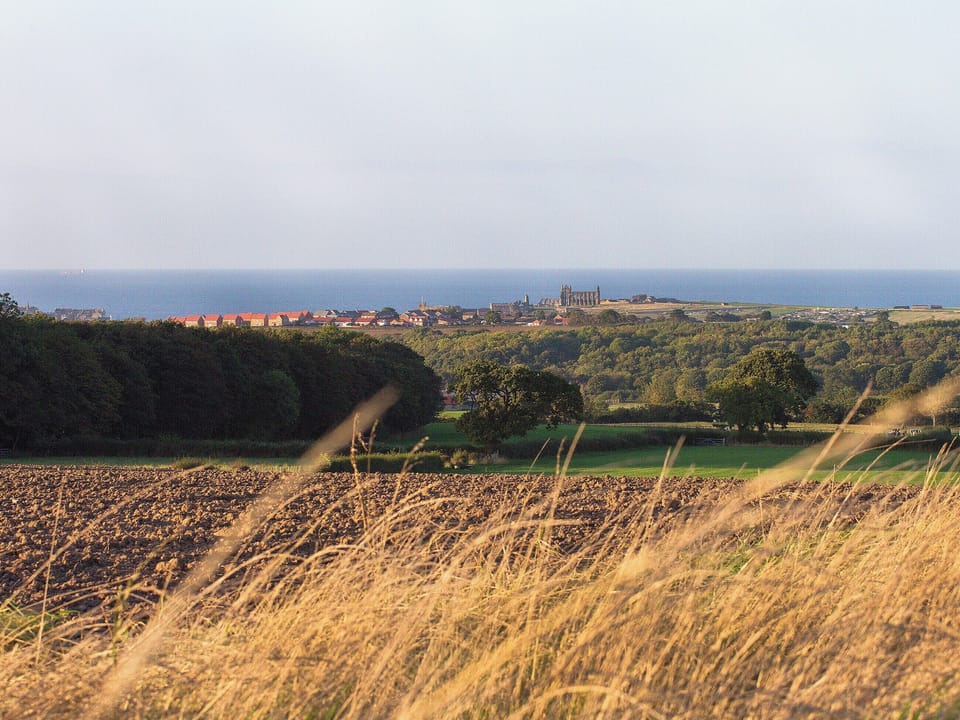 View | Mortar Barn, Sneatonthorpe, nr. Whitby
