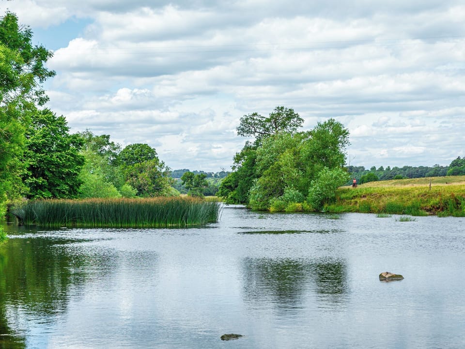 Surrounding area | Curlew Barn, near Middleham, Leyburn