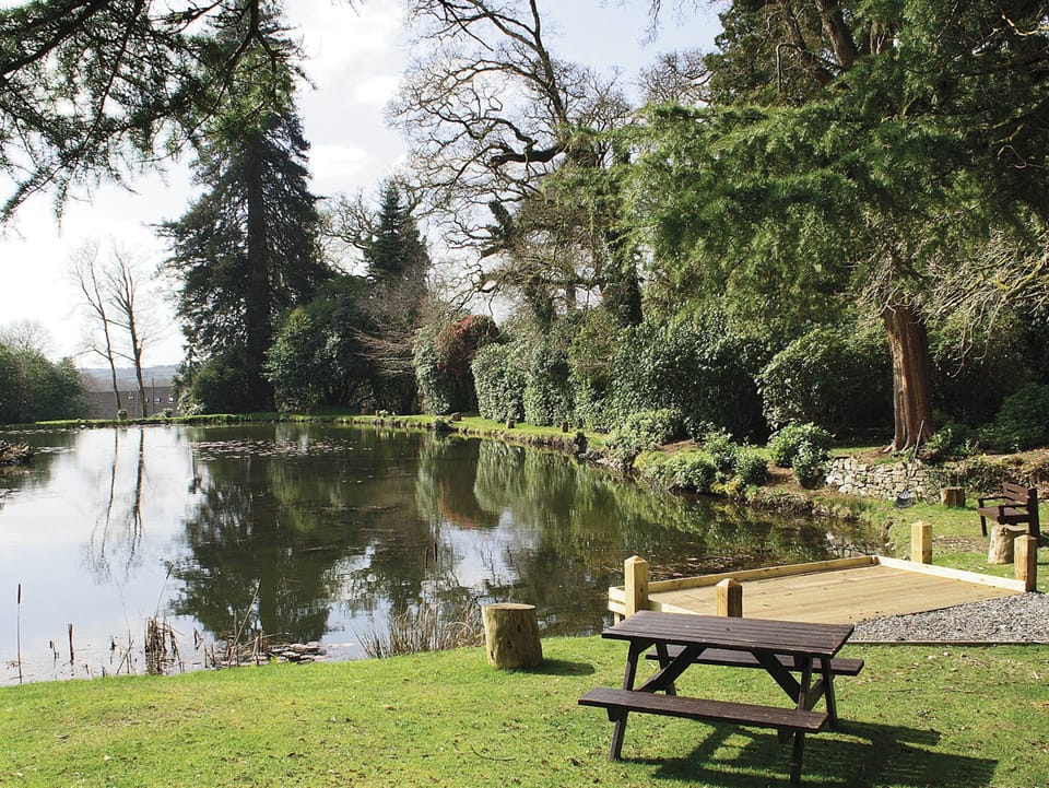 View from Rosecraddoc Manor | Nr. Liskeard