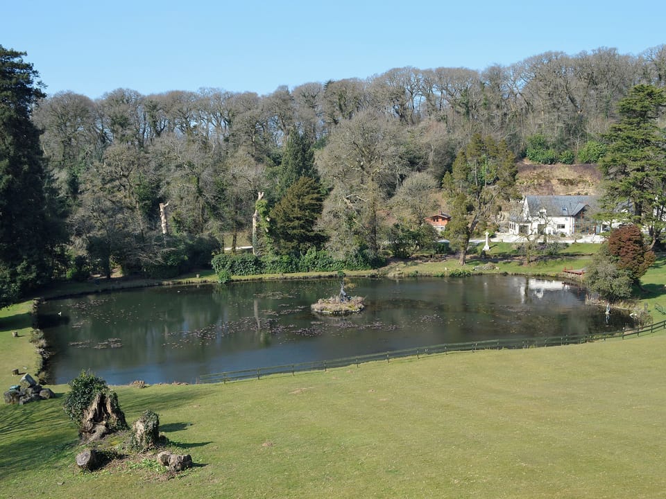 View | Lake View Cottage - Rosecraddoc Manor, Liskeard