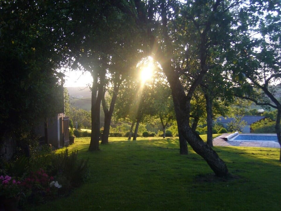 Dawn rises over the garden