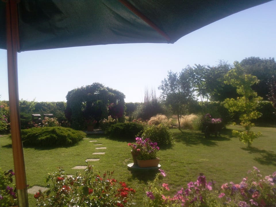 garden