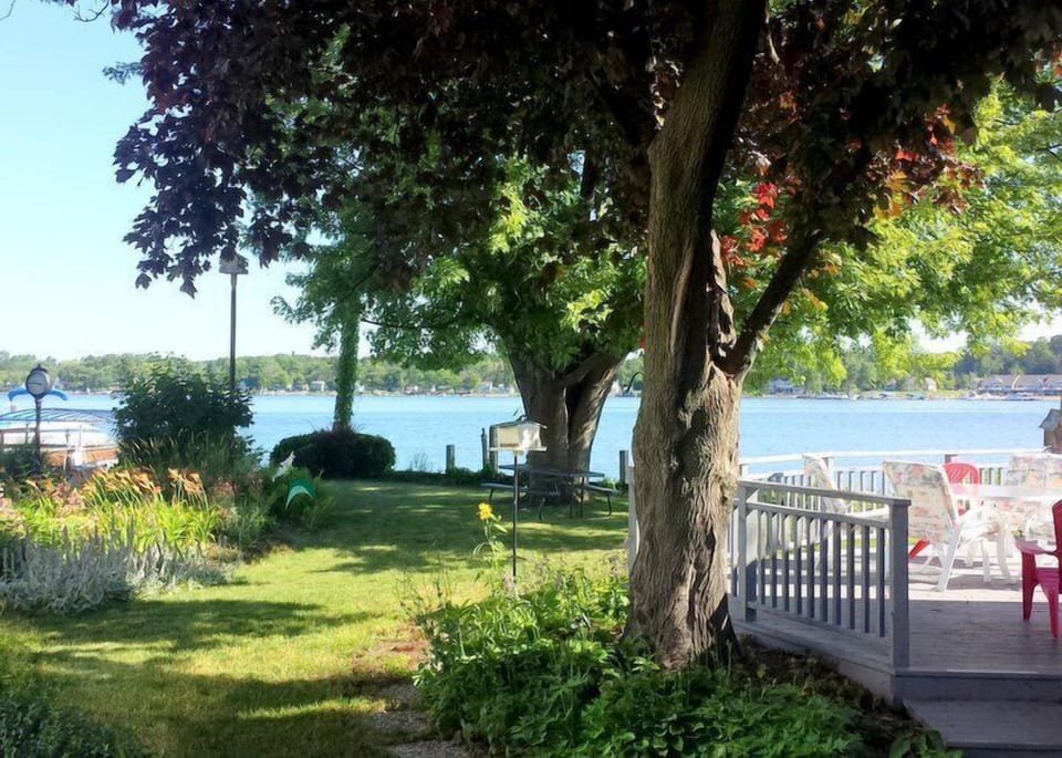 back yard