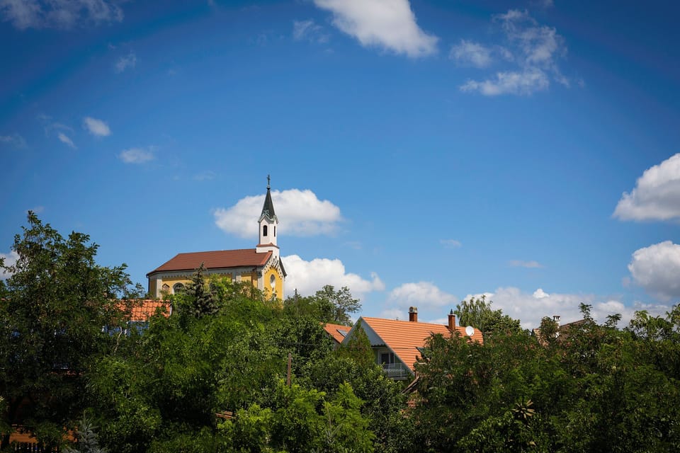 View from the garden