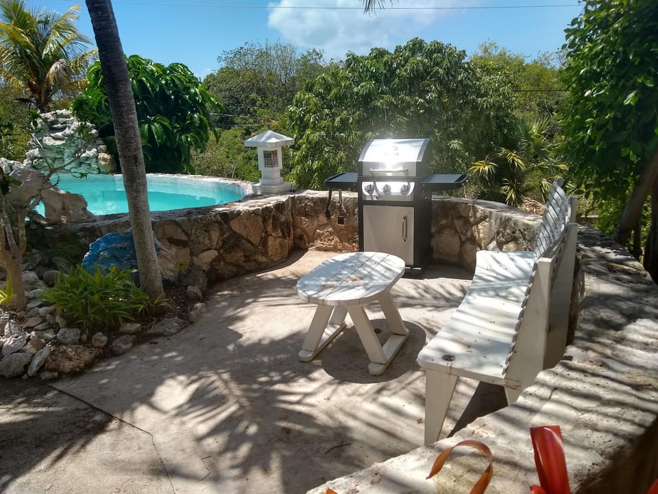 Pool party! Fire up the grill and relax poolside under the shade of palm trees