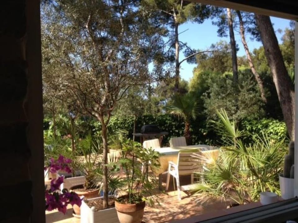 Terrace / Balcony