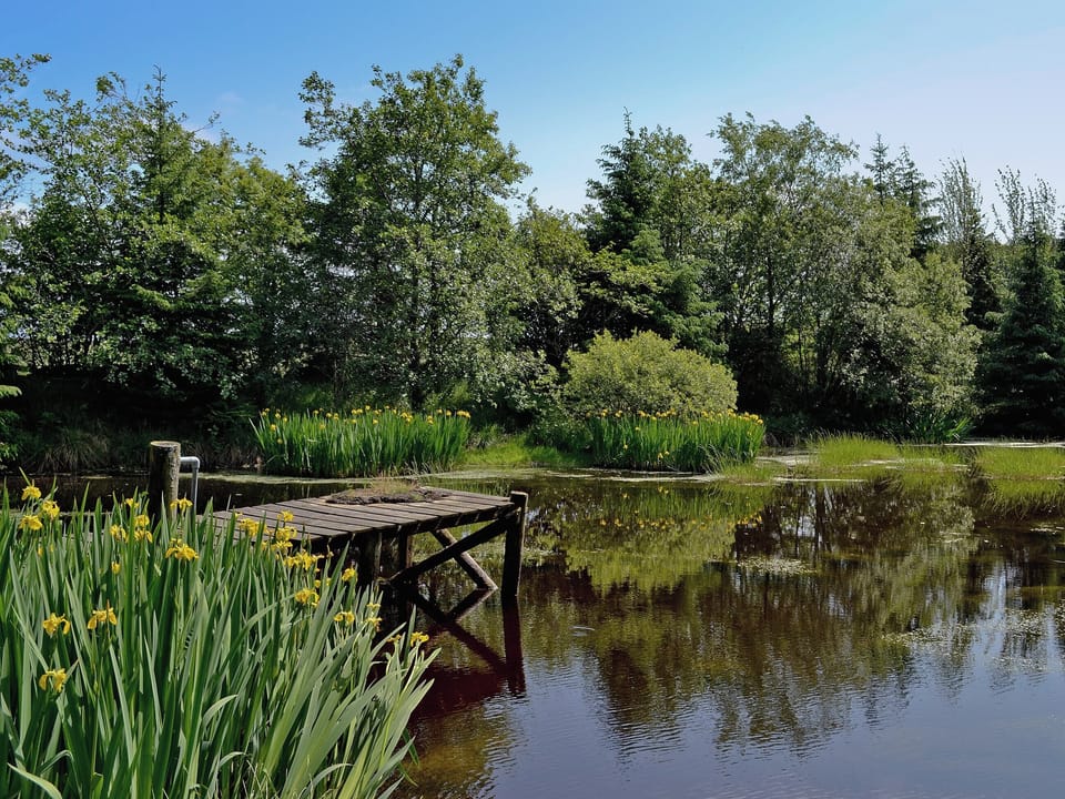 Surrounding area | Swallow Lodge, Bardennoch West, nr. Carsphairn